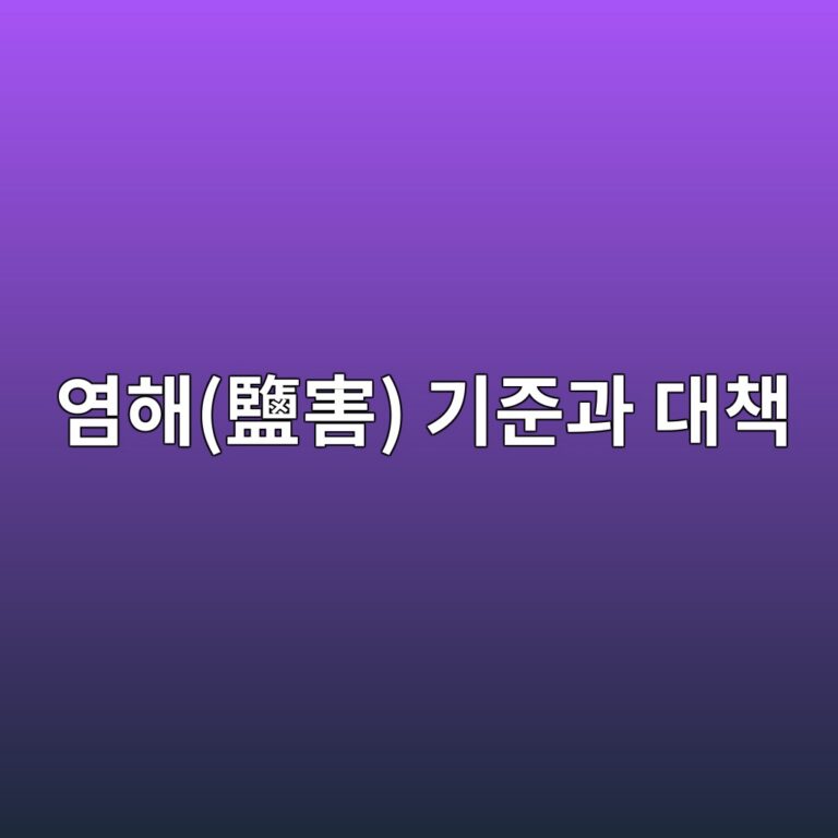 ec97bced95b4e9b9bde5aeb3 eab8b0eca480eab3bc eb8c80ecb185 1787537451