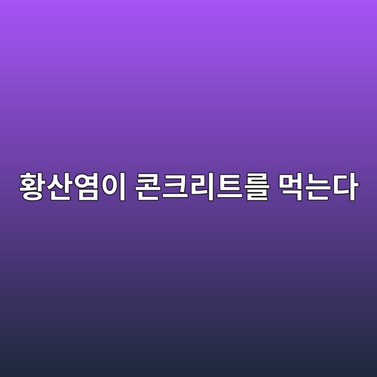 ed99a9ec82b0ec97bcec9db4 ecbd98ed81aceba6aced8ab8eba5bc eba8b9eb8a94eb8ba4 1787537707