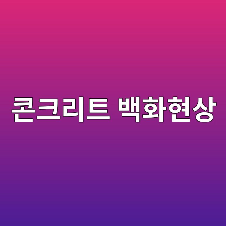 ecbd98ed81aceba6aced8ab8 ebb0b1ed9994ed9884ec8381 1789474762